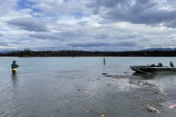 Kenai River